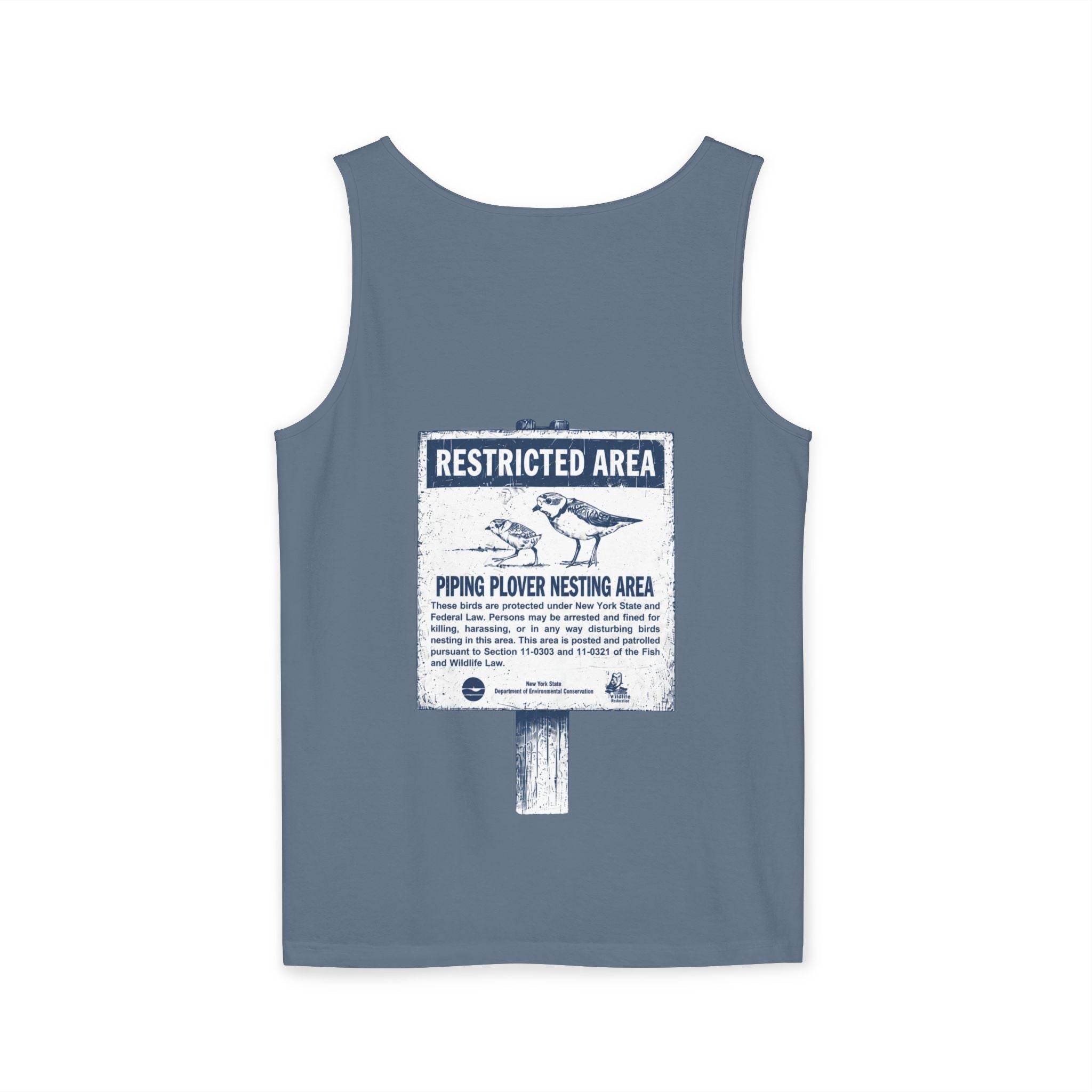 Piping Plovers | Tank