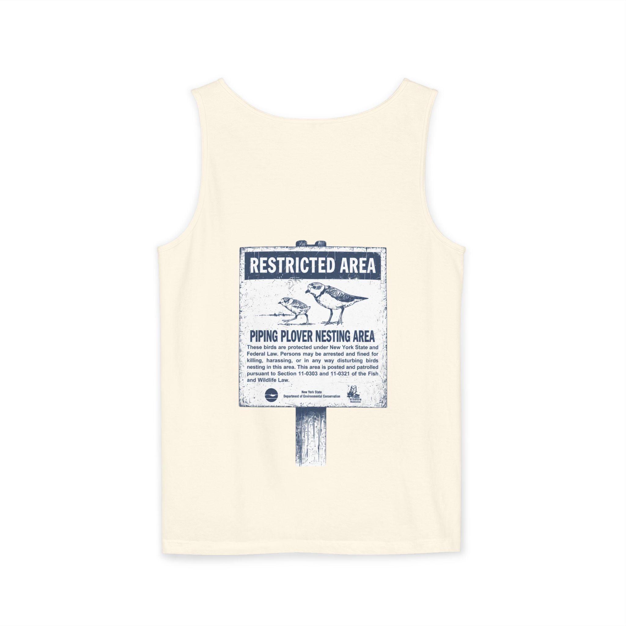 Piping Plovers | Tank