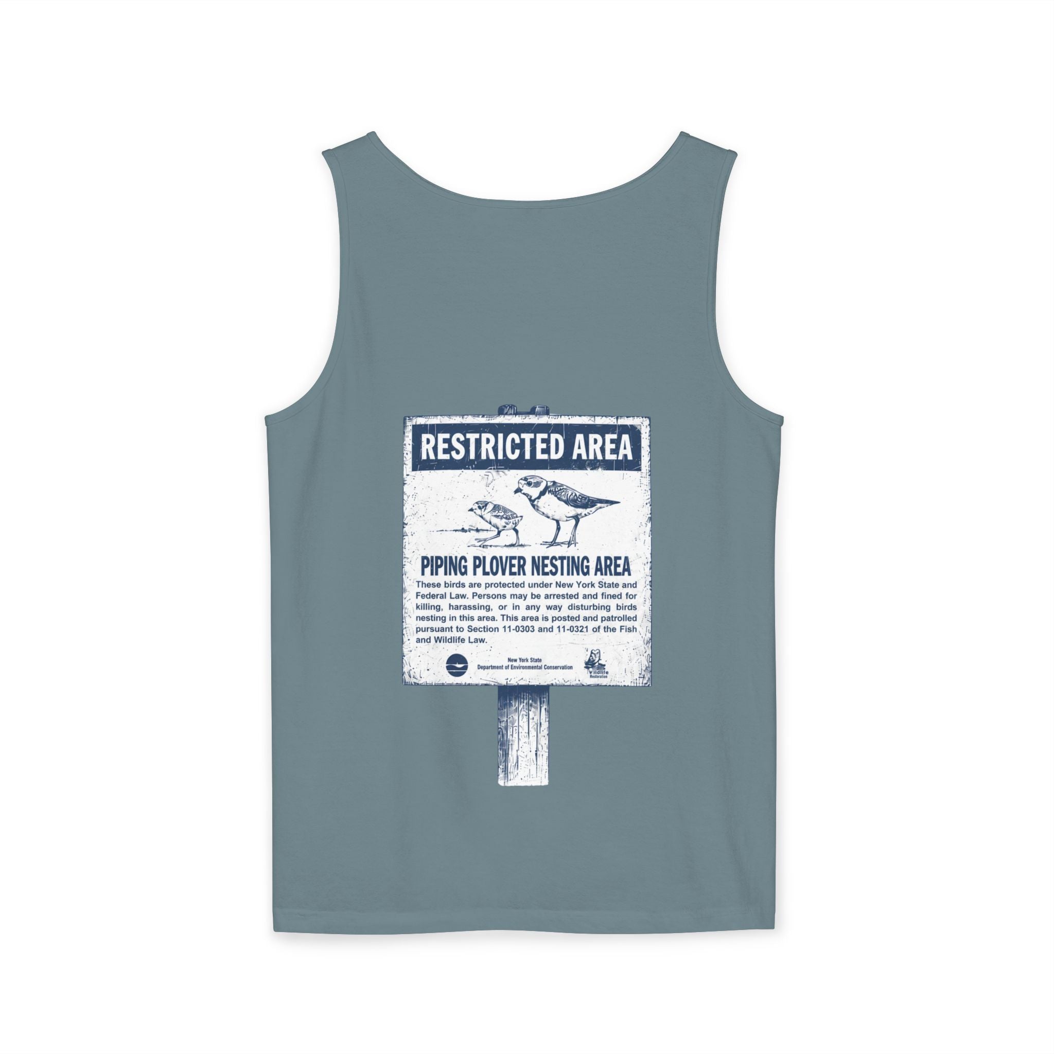 Piping Plovers | Tank